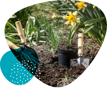 bulle_jardizen vignette_TOURNIER
